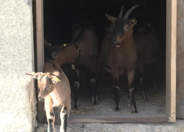 Ferienhof Steingaden דירה